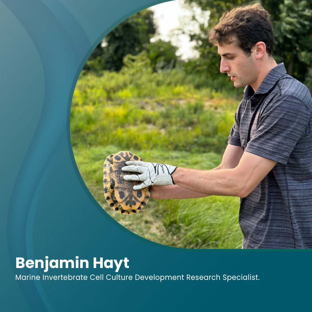 A person wearing gloves and holding a snake outdoors in a graphic labeled Benjamin Hayt