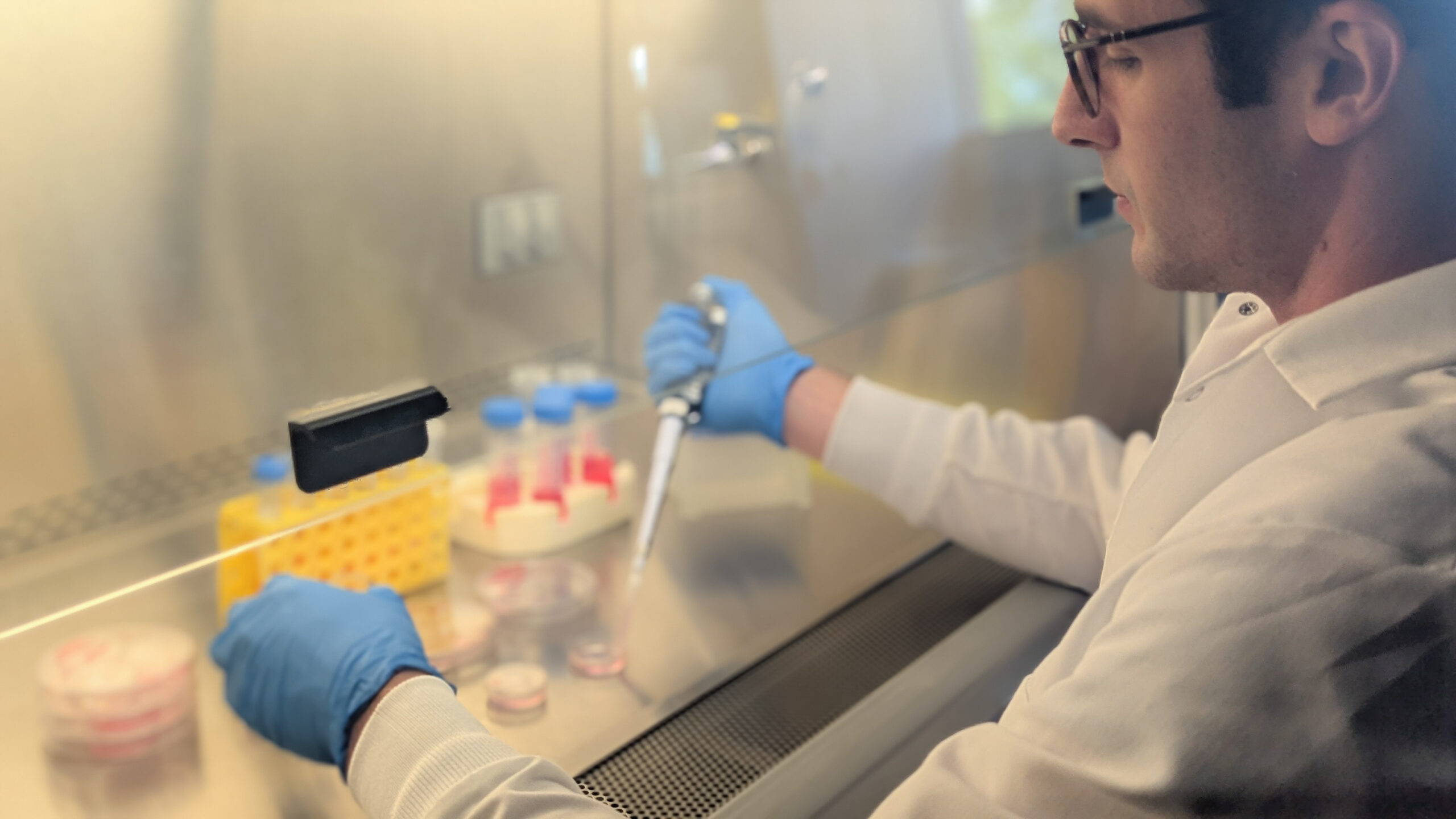 Benjamin Hayt wearing a lab coat and blue gloves while pipetting at a cell culture workstation.