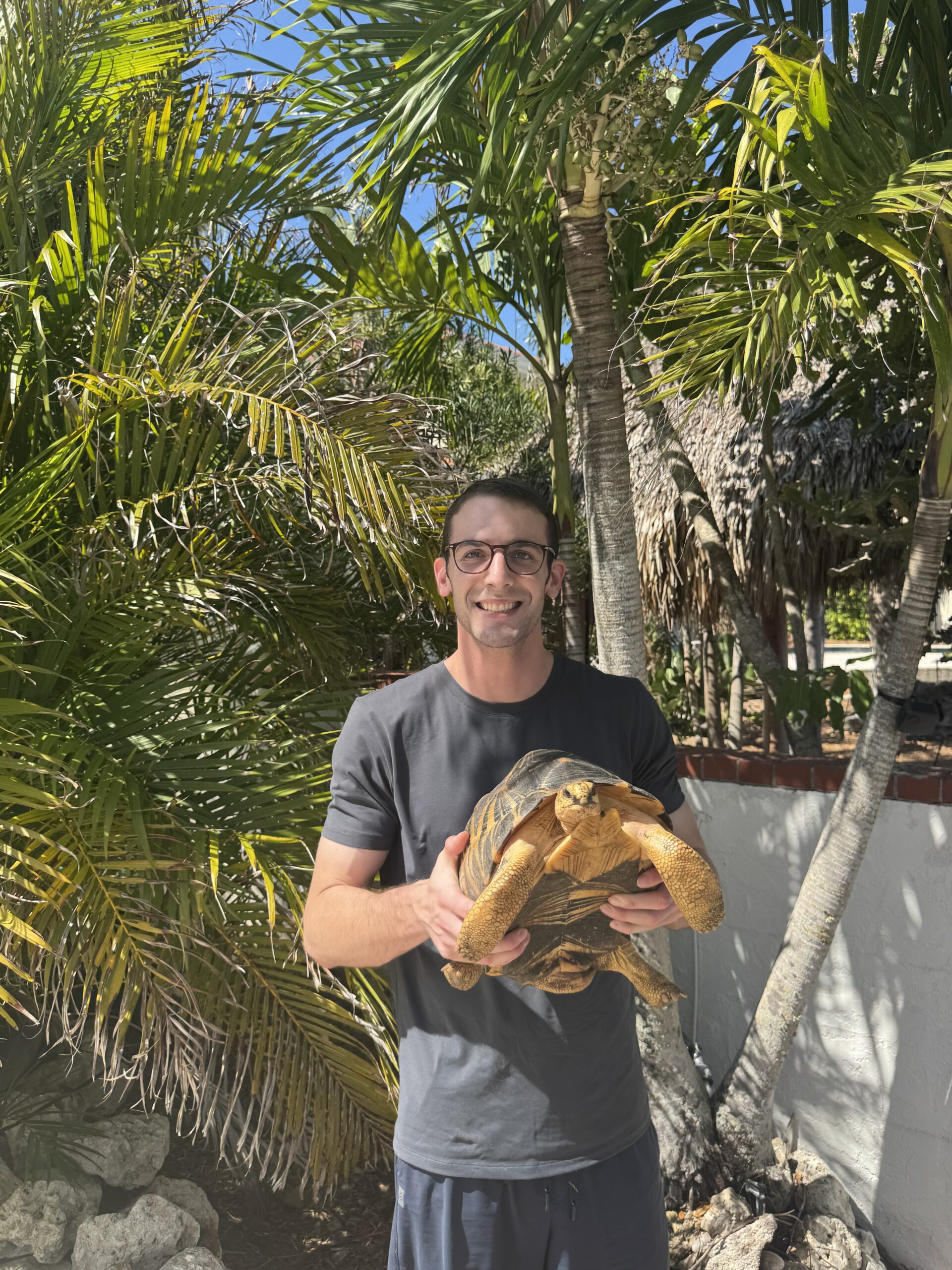 Benjamin Hayt holding a tortoise outdoors among palm trees